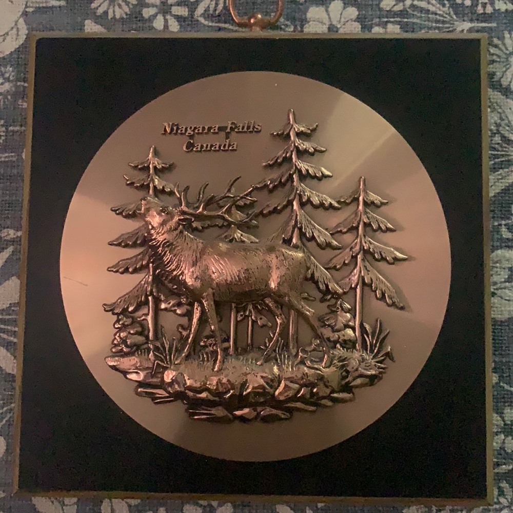 🔵 Niagara Falls Plaque - Picture 1 of 7
